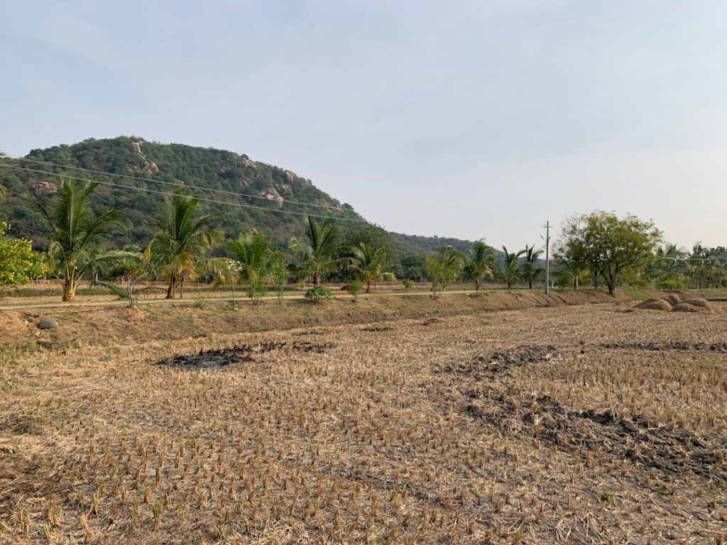 Onbebouwd perceel